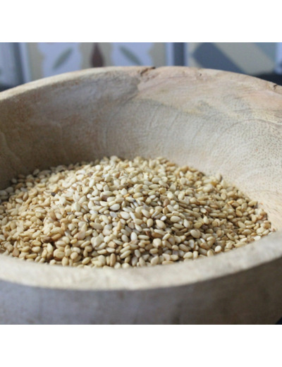 Sésame doré en grains