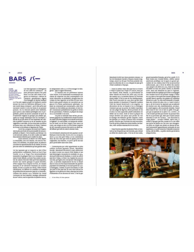 DICTIONNAIRE AMOUREUX ILLUSTRE DU JAPON