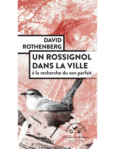 UN ROSSIGNOL DANS LA VILLE