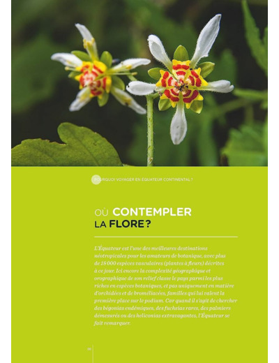 EQUATEUR - LES CLES POUR BIEN VOYAGER - GALAPAGOS