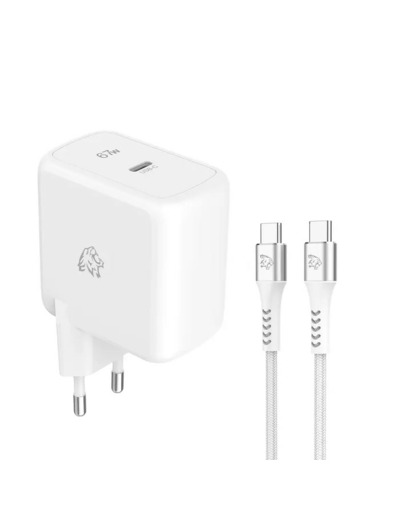 TIGER Power Lite Pack Chargeur Secteur GAN 67W & Câble USB-C 2M
