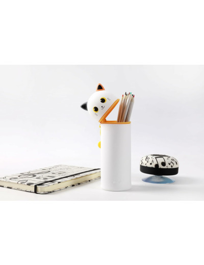 I-TOTAL® - Trousse en Silicone Souple pour l'École, Extensible avec Forme Profilée Orange Cat