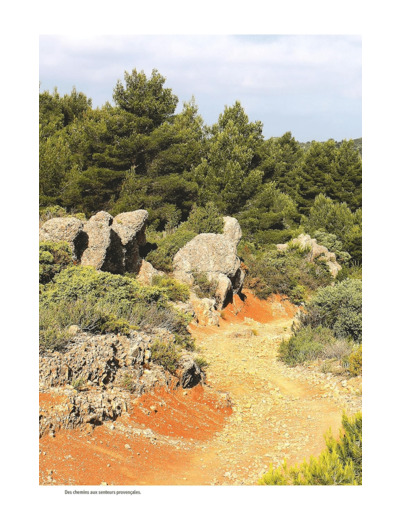 ALPILLES, LES PLUS BELLES RANDONNEES - ITINERAIRES A LA JOURNEE ET TOUR DU PARC