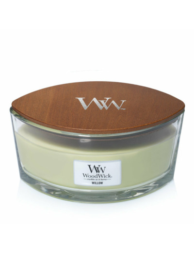 Bougie Ellipse - SAULE / WILLOW