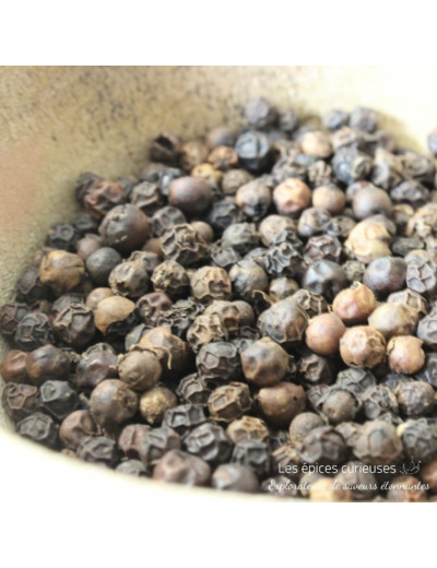 Poivre indien des montagnes