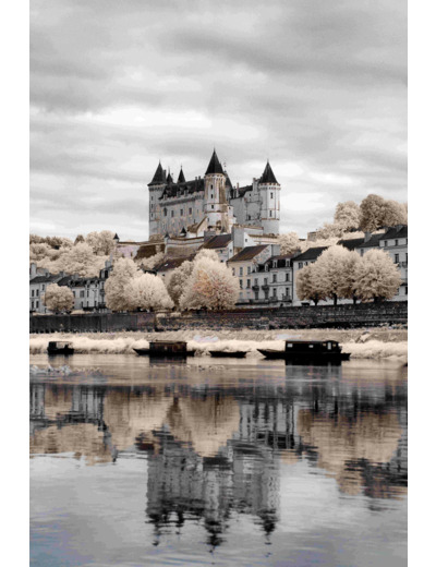 Château de Saumur
