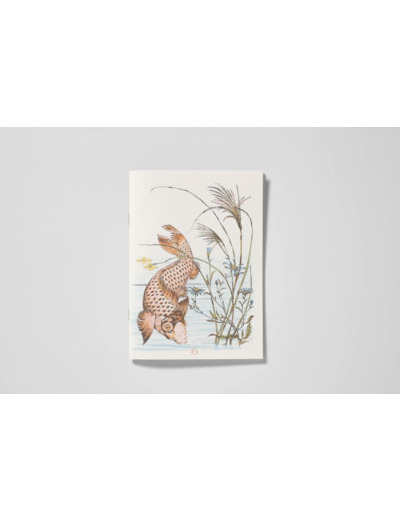 CARNET - ORNEMENTS DU JAPON - NOTES ET LECTURES