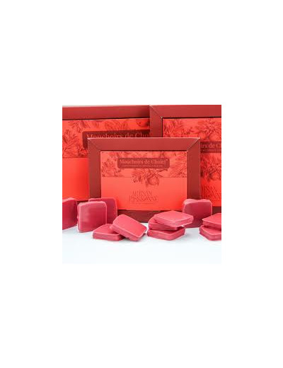 Chocolat Mouchoir de CHOLET (6 pièces ou 18 pièces)