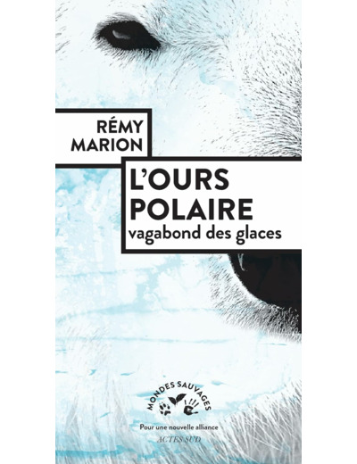 L'OURS POLAIRE - VAGABOND DES GLACES