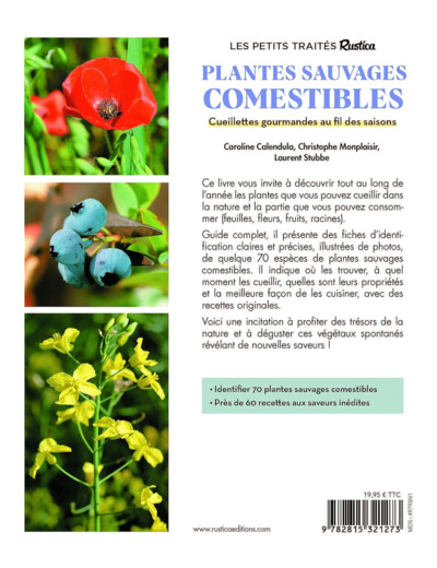 LE PETIT TRAITE RUSTICA DES PLANTES SAUVAGES COMESTIBLES - CUEILLETTES GOURMANDES AU FIL DES SAISONS