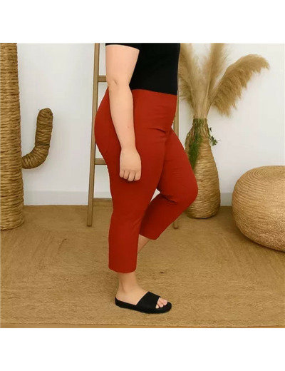 R273- Tregging Christy (T42-T52) (rouille)