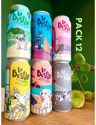 Pack 12 canettes 44cl