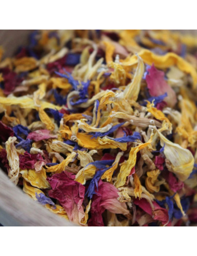 Aurore – Fleurs comestibles
