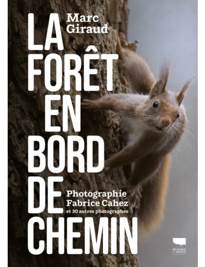 LA FORET EN BORD DE CHEMIN