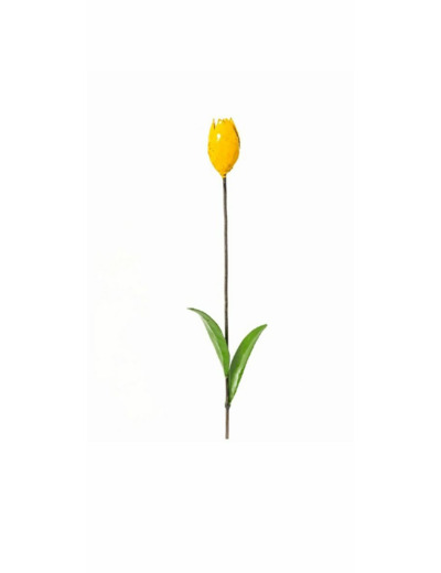 Tulipe jaune