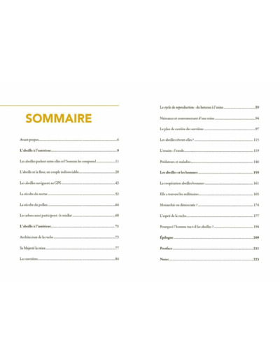 LA VIE SECRETE DES ABEILLES - L'ESPRIT DE LA RUCHE