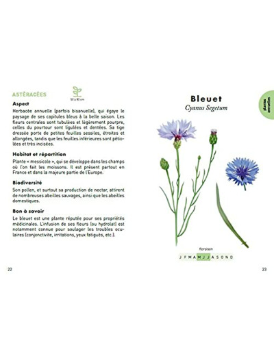 LE PETIT GUIDE DES PLANTES A ABEILLES - 70 ESPECES MELLIFERES A DECOUVRIR