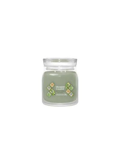 Bougie Parfumée Yankee Candle Cyprès et Oliviers