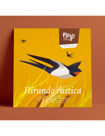 Hirondelle Rustique
