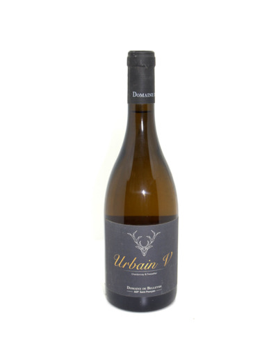 SAINT POURCAIN AOP URBAIN V BLANC  DOMAINE BELLEVUE