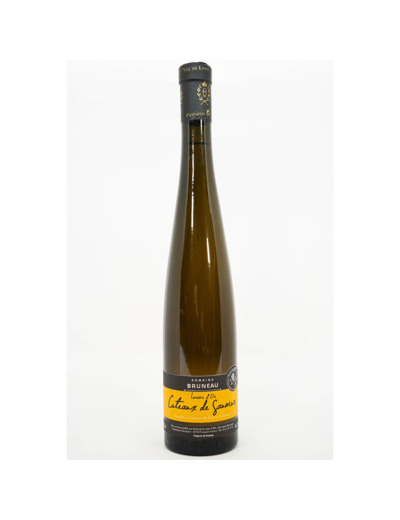COTEAUX DE SAUMUR DPO DOMAINE BRUNEAU