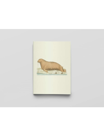 CARNET - ZOOLOGICA DANICA - NOTES ET LECTURES