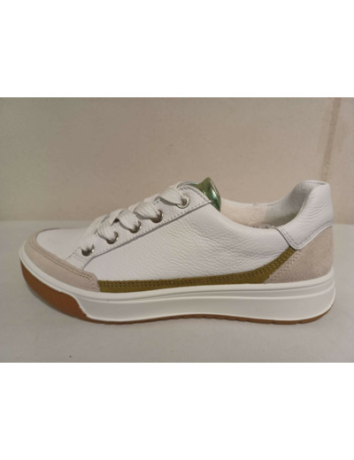 ARA  50004 B V