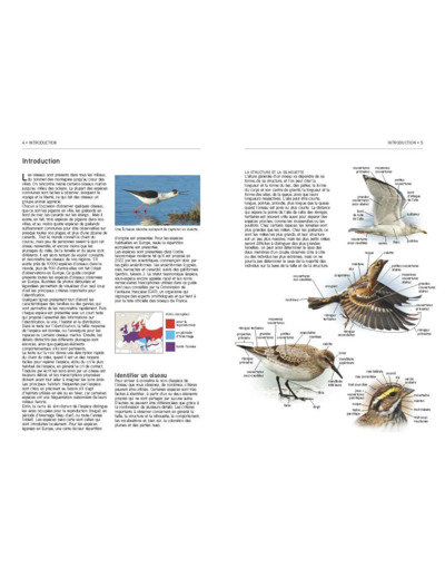 TOUS LES OISEAUX D'EUROPE