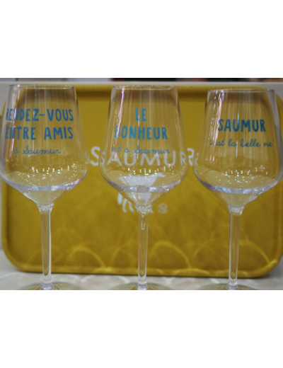6 verres à pieds en plastique réutilisable Saumur