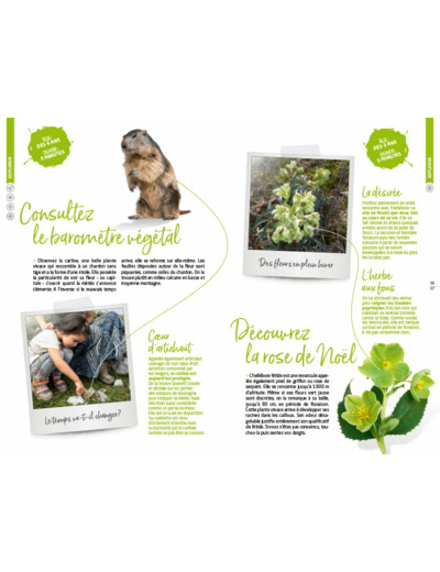 TOUS DEHORS A LA MONTAGNE