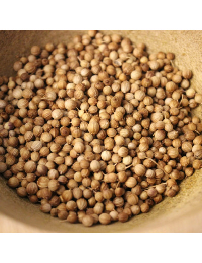 Graines de Coriandre
