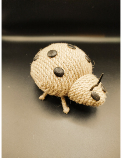 Coccinelle