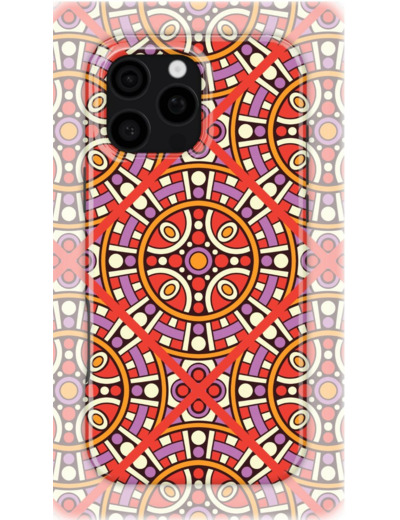 Rajasthan Radiance | Coque de téléphone 3D 2en1 Ultra-résistante