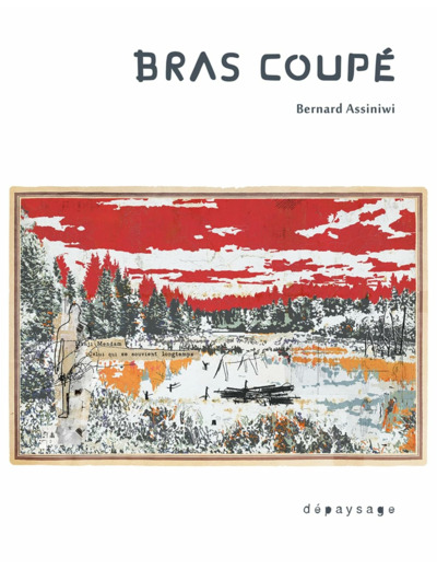 BRAS COUPE
