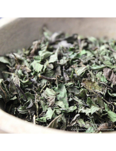 Menthe Poivrée