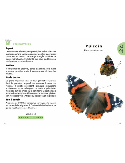LE PETIT GUIDE DES INSECTES