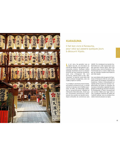 JAPON - LE GUIDE IDEAL