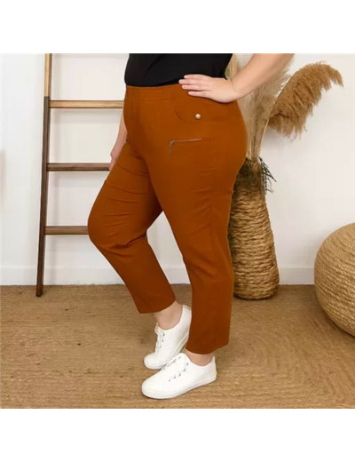 T545- Pantalon Confort JST (T38-T52) (rouille)