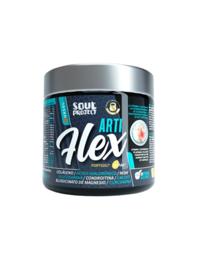 SOUL PROJECT ARTI FLEX 300G