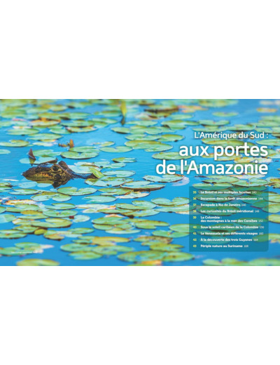 AMERIQUE LATINE ET CARAIBES - 50 ITINERAIRES DE REVE