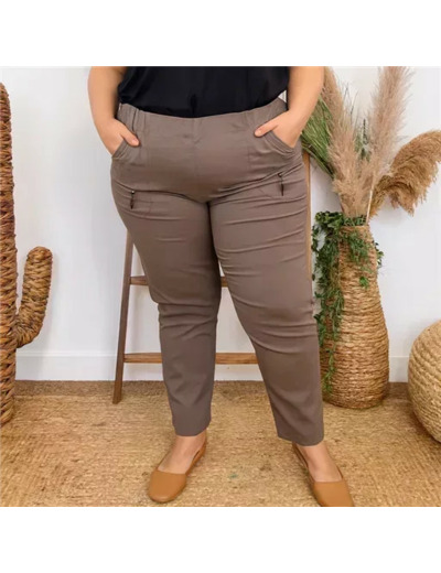 T545- Pantalon Confort JST (T38-T52) (taupe)