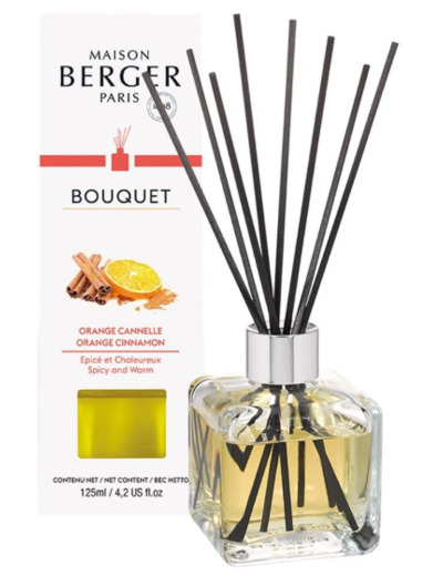 Bouquet Maison Berger Orange Cannelle