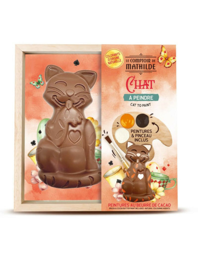 Chat A Peindre Chocolat Au Lait 200g