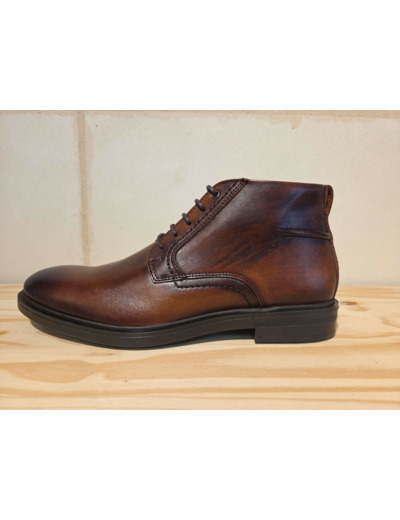 ARIMA  Elory