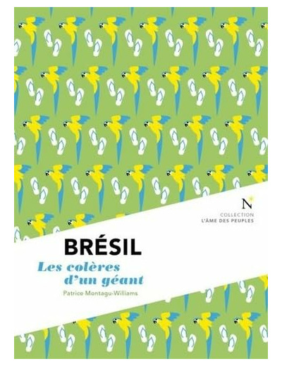 BRESIL - LES COLERES D'UN GEANT