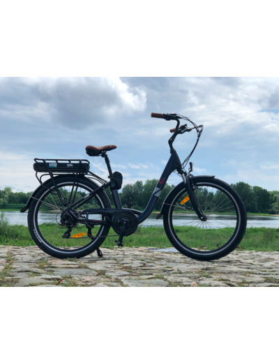 VÉLO A ASSISTANCE ELECTRIQUE MODEL CITY ROAD (36V250W 25KM/H)