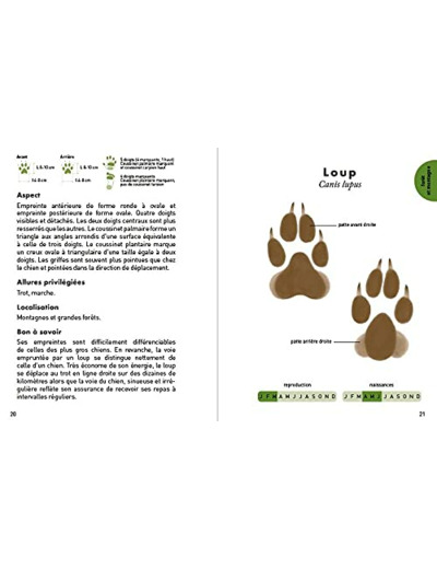 LE PETIT GUIDE DES EMPREINTES ANIMALES - 70 TRACES ET INDICES A OBSERVER