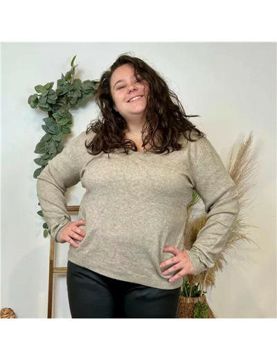 Y259- Pull Laine Cachemire "Tricotonic" (les T34&48) (taupe)