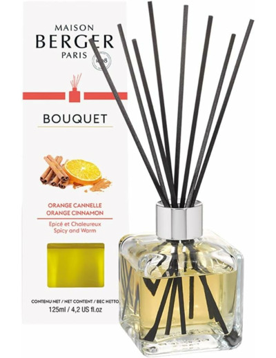 Parfum Berger 6002 Bouquet Parfum Cube Orange de Cannelle Transparent