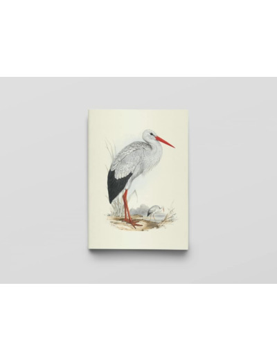 CARNET - OISEAUX D'EUROPE - NOTES ET LECTURES